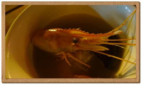【新竹活蝦海鮮】愛玩客新竹美食推薦+新竹聚餐餐廳推薦—再訪黃金海岸活蝦之家！