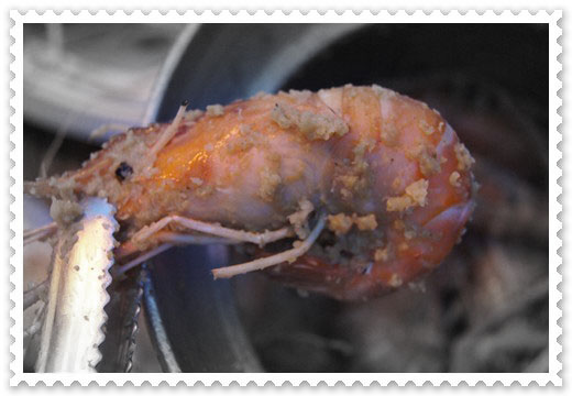 【新竹活蝦】新竹好吃的美食海鮮餐廳，吃了N遍的黃金海岸活蝦之家，新鮮蝦活蝦超讚，推薦給大家喔！